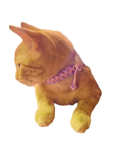 Collar para Gatos y Perros de Raza Pequeña