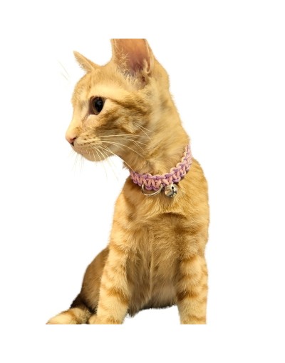 Collar para Gatos y Perros de Raza Pequeña