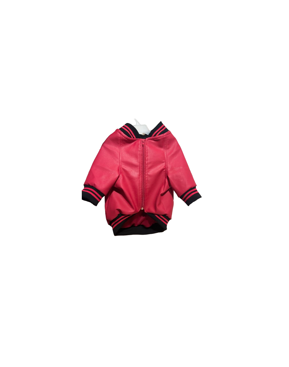 Chaqueta beisbolera en cuerotex forrada