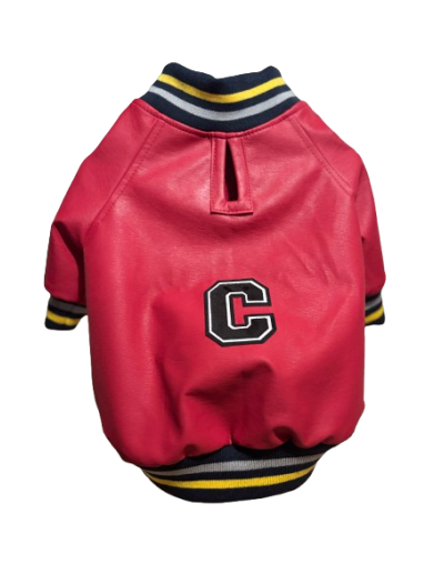 Chaqueta beisbolera en cuerotex forrada