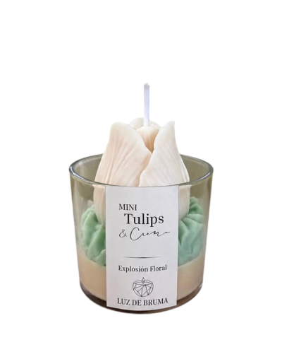 Mini vela Tulips & crema