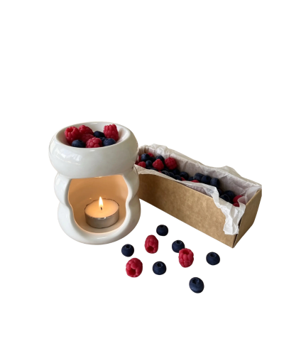Kit Pebetero & Wax melts Frutos Rojos