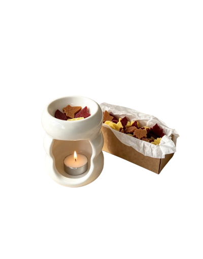 Kit Pebetero & Wax melts Bosque Sereno