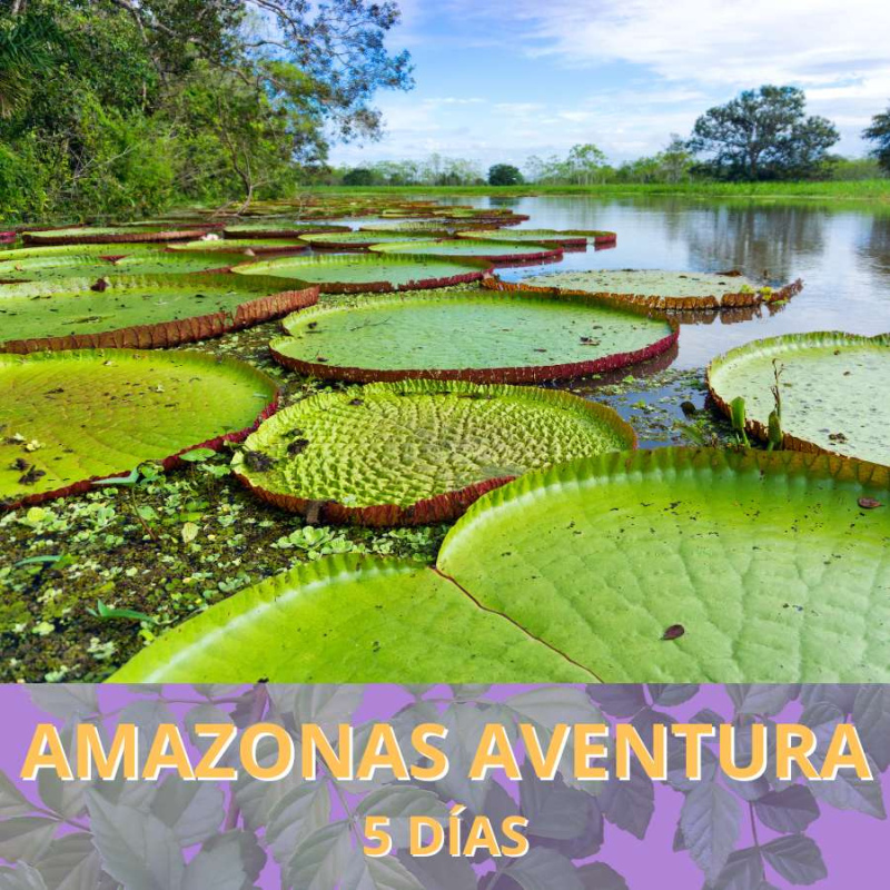 Amazonas aventura 5 días