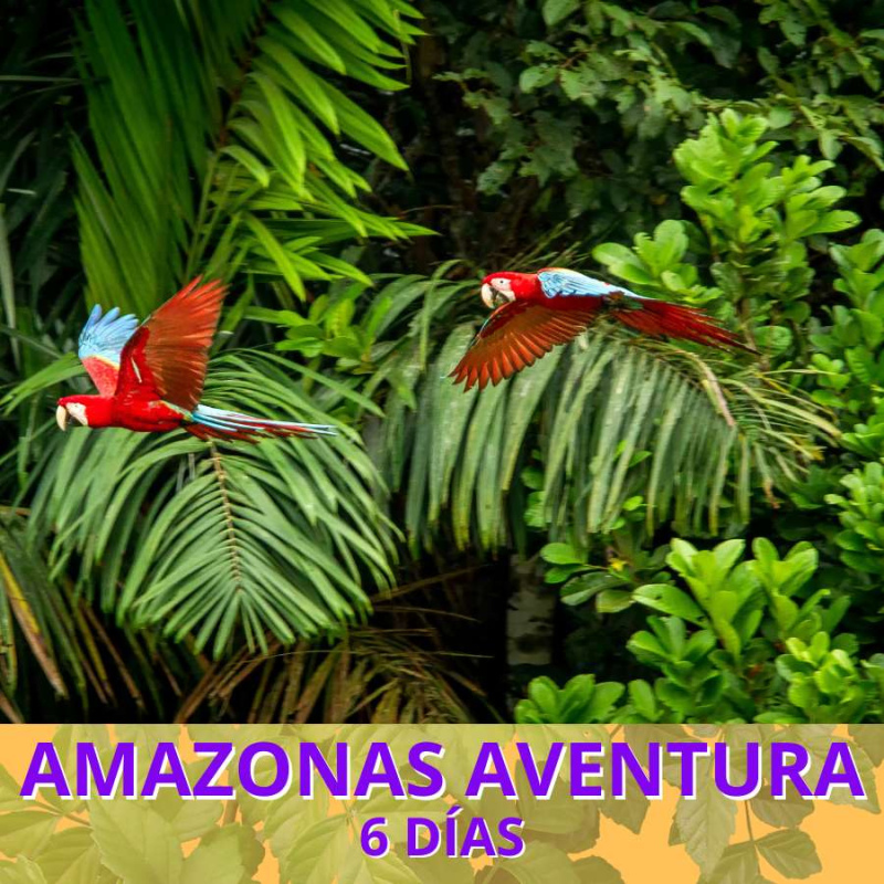 Amazonas aventura 6 días