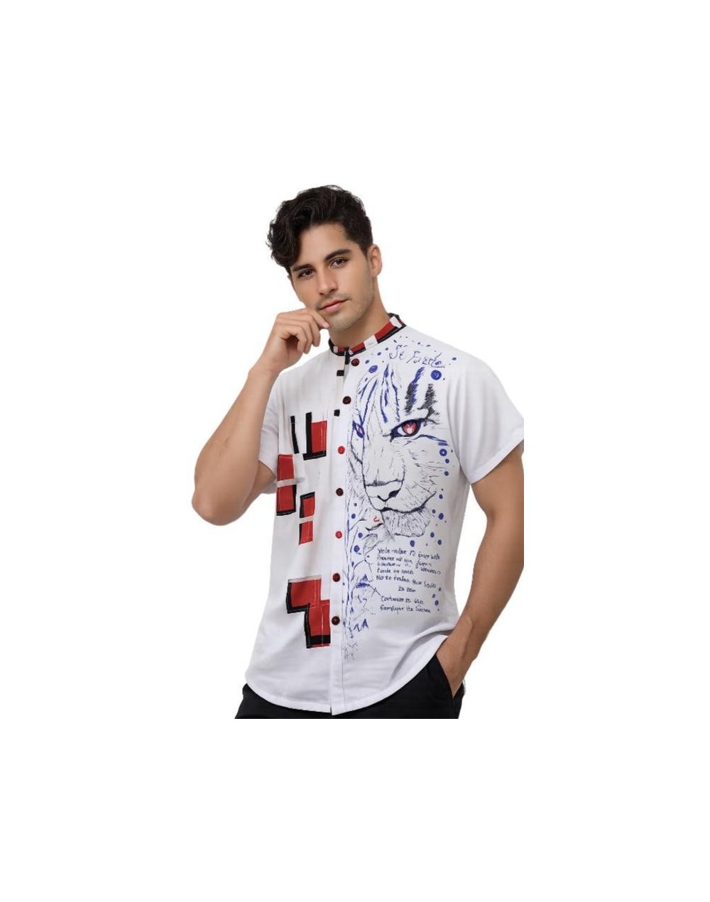 Camisa