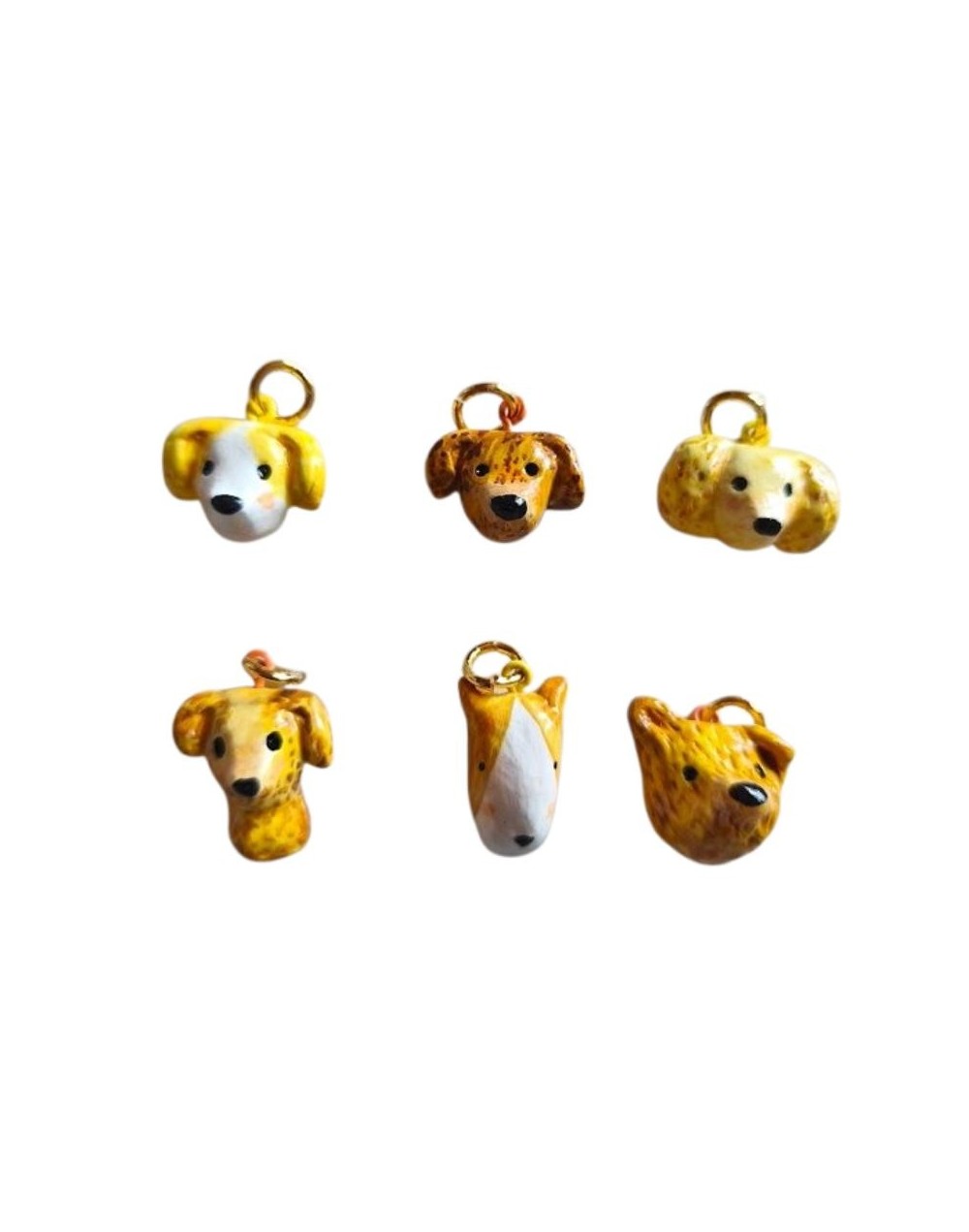 Charm Perrito