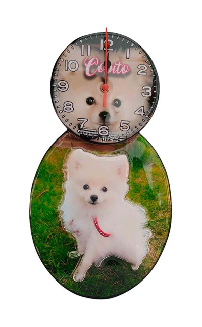 Reloj de pared personalizado con foto mascota