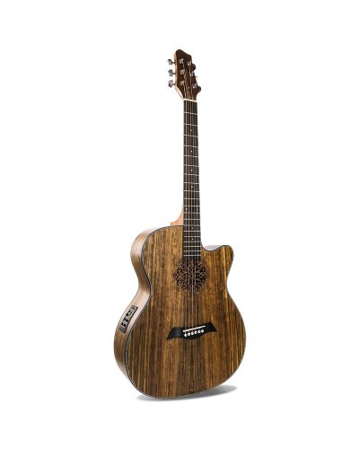 Guitarra Electroacústica OLAC09