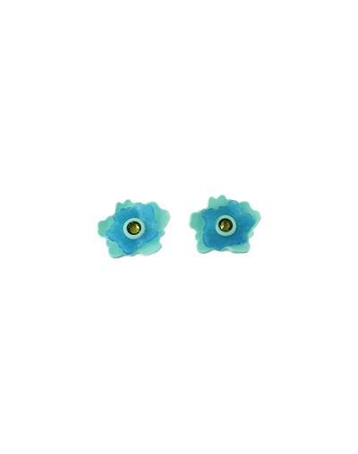 Aretes Mammillaria Maxi