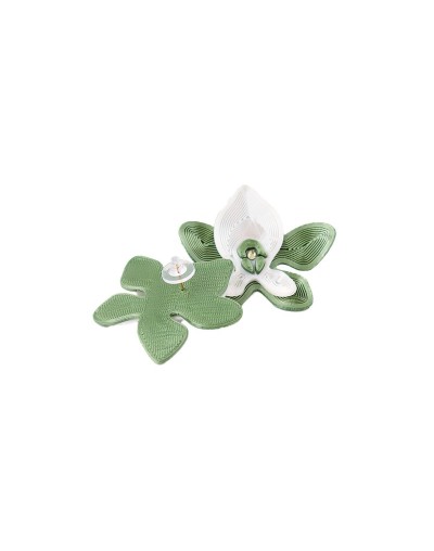 Aretes Cattleya
