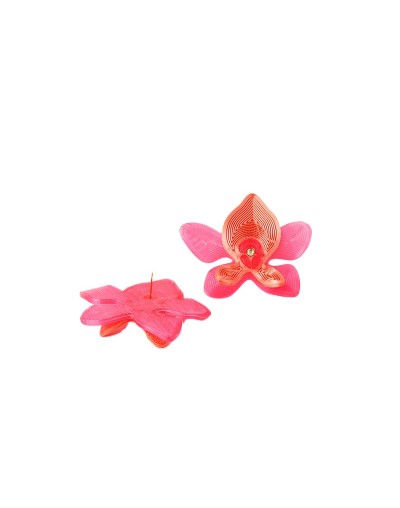 Aretes Cattleya