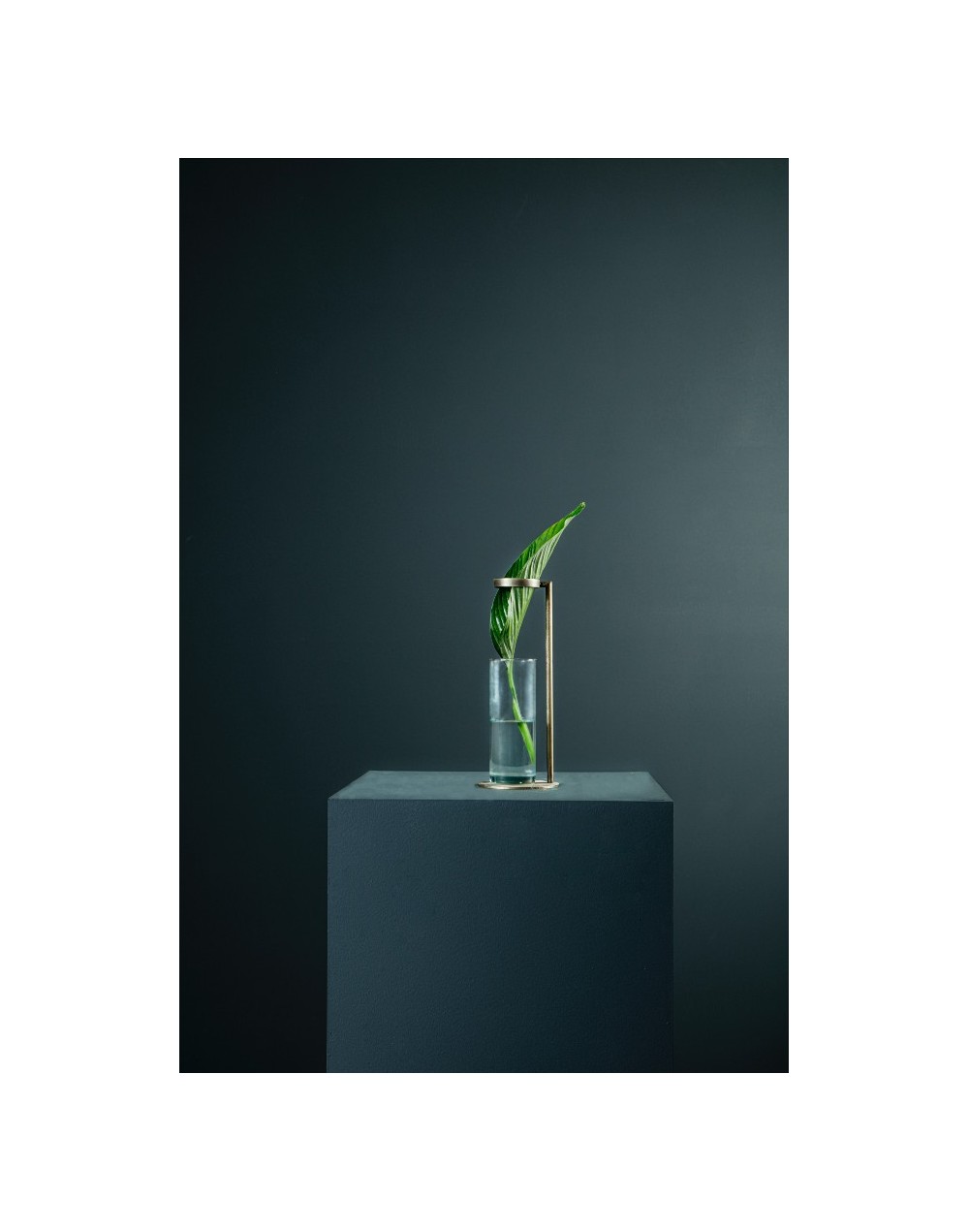 SOLITARIO