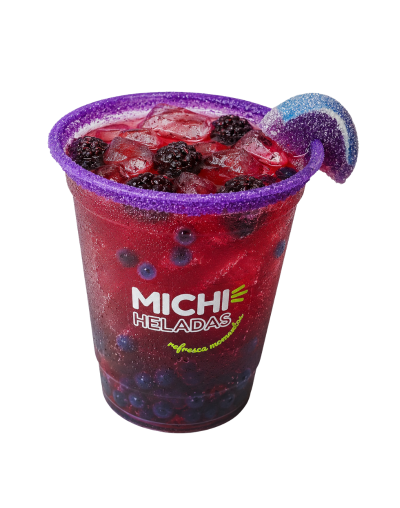 MICHI SABORIZADA | Neonberry