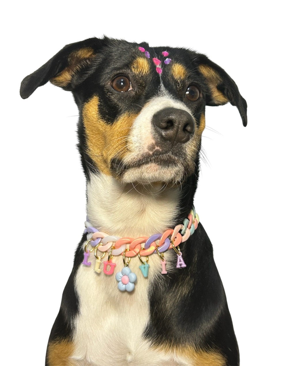 Collar Cubana Arcoíris Personalizado | Moluka