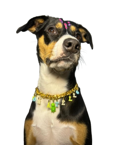 Collar cubana mágica 🪄