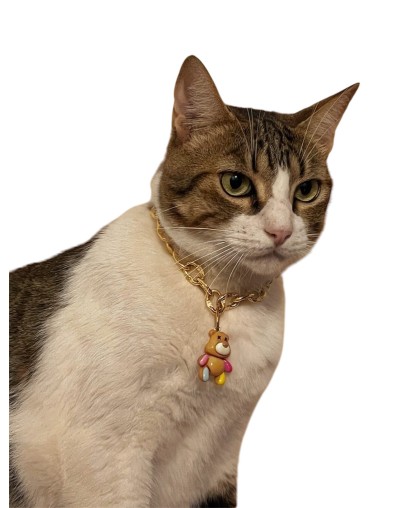 Collar Gomela Dorado Personalizado | Moluka
