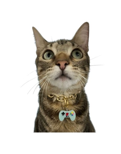 Collar Gomela Dorado Personalizado | Moluka