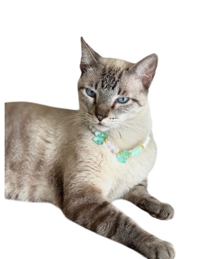Collar de Hilo Personalizado perros y gatos | Moluka