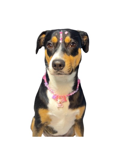 Collar de Hilo Personalizado perros y gatos | Moluka