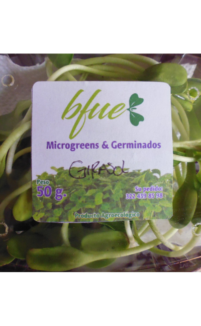 Microgreens Girasol