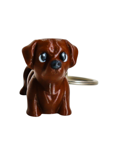 LLAVERO LABRADOR