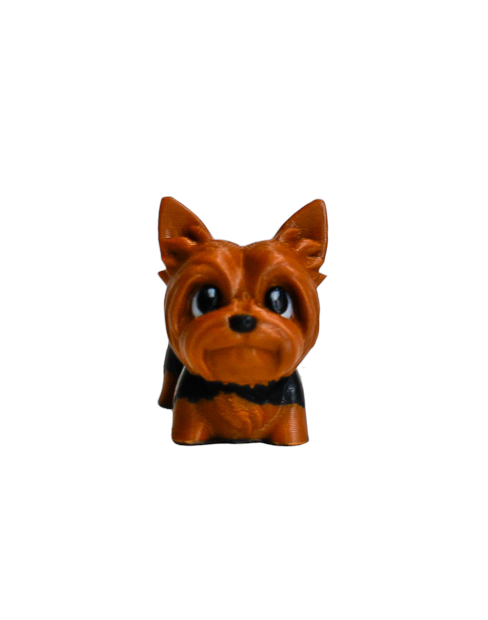 LLAVERO YORKSHIRE TERRIER