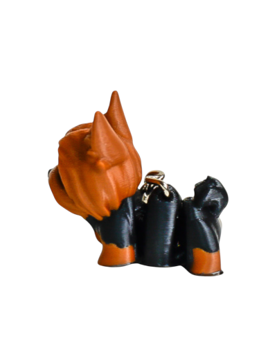 LLAVERO YORKSHIRE TERRIER
