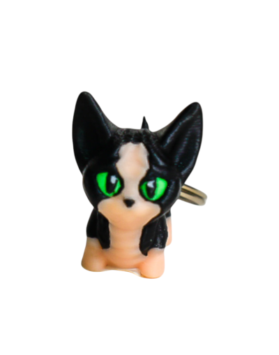 LLAVERO GATO