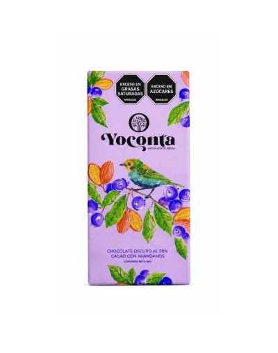 Chocolate amargo al 90% Cacao con arandanos  35g