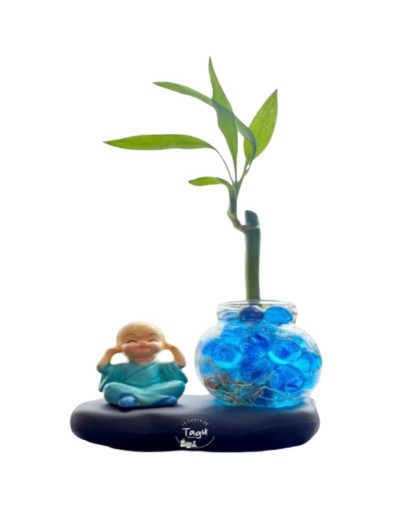 Bambu