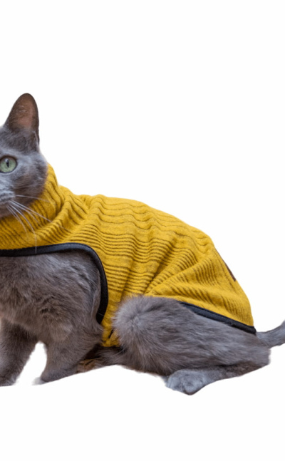 Sacos tejidos para gatos gogo amarillo