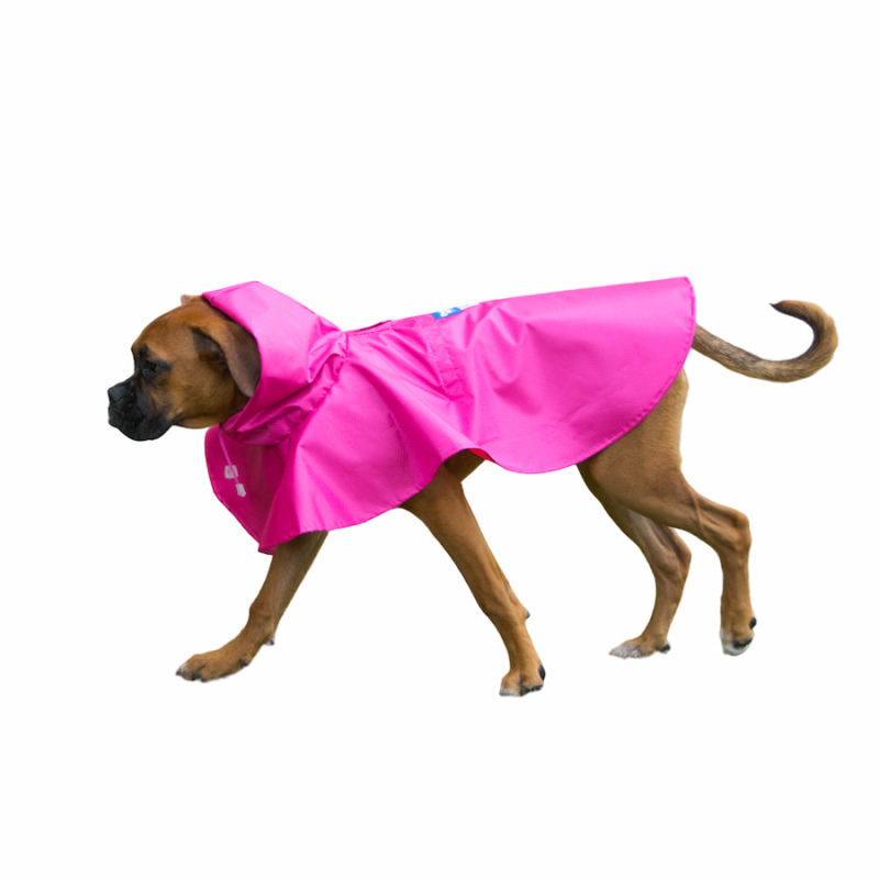 Carpas de lluvia para perros