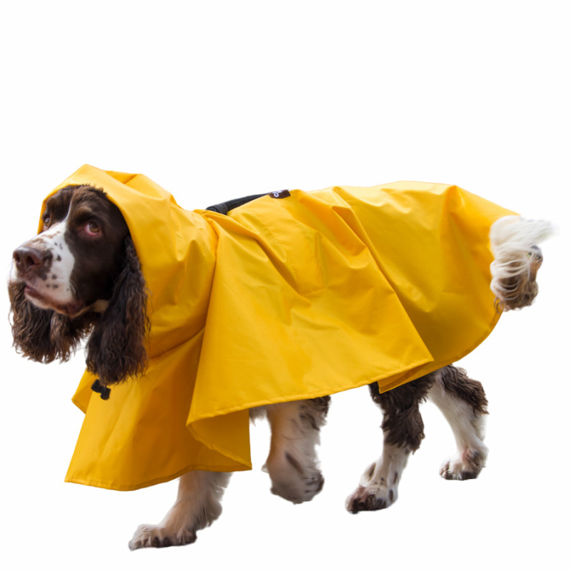 Capa para lluvia para perros