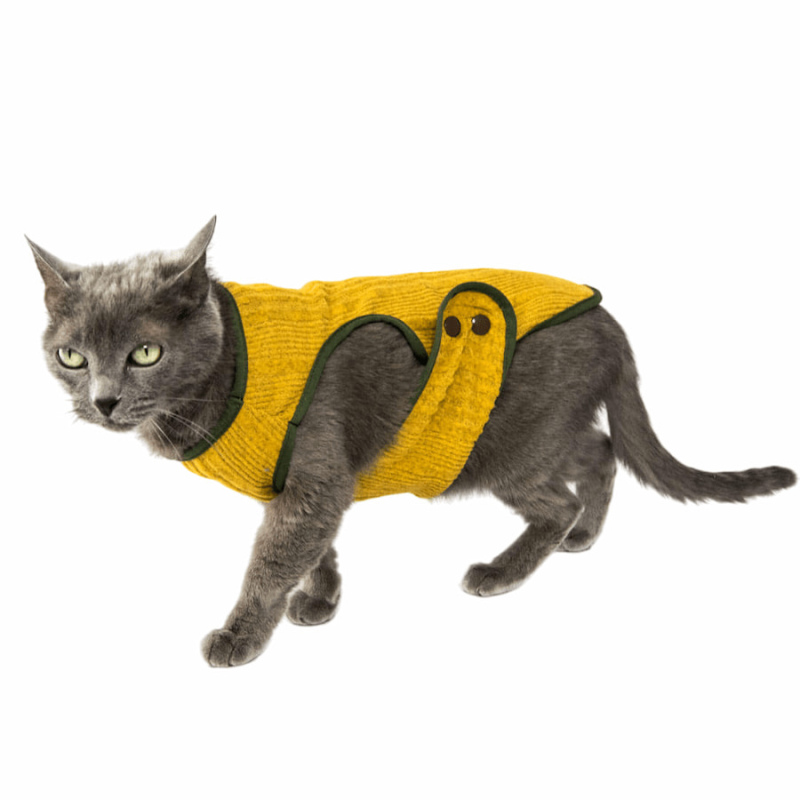 Chaleco tejido para gato -michin amarillo