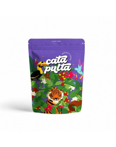 Verano Coyote 