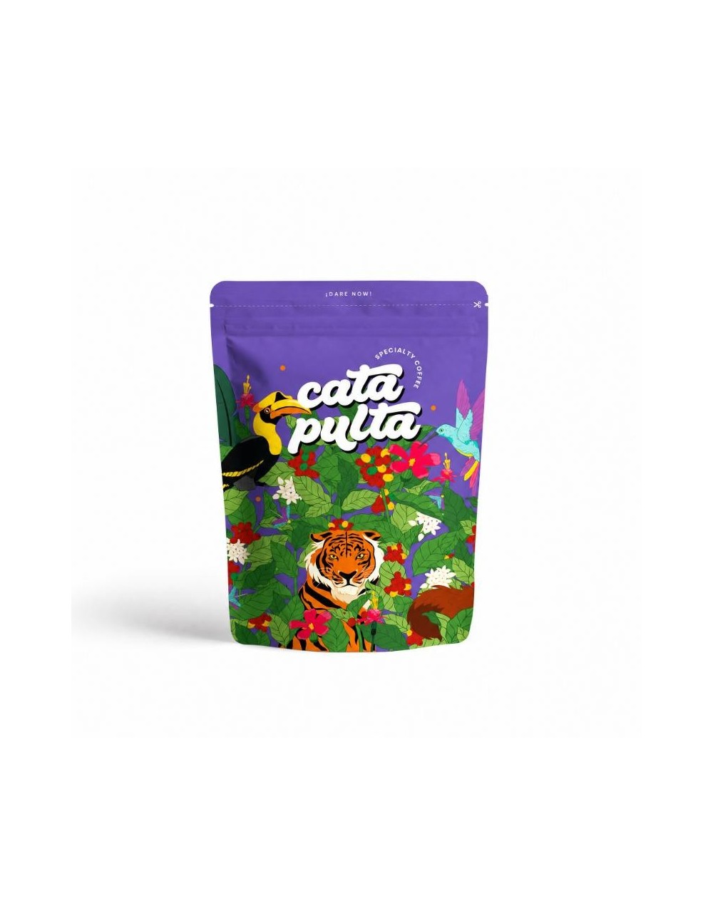 Verano Coyote 
