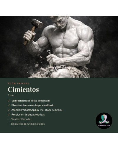 Plan Inicial - Cimientos 1 mes
