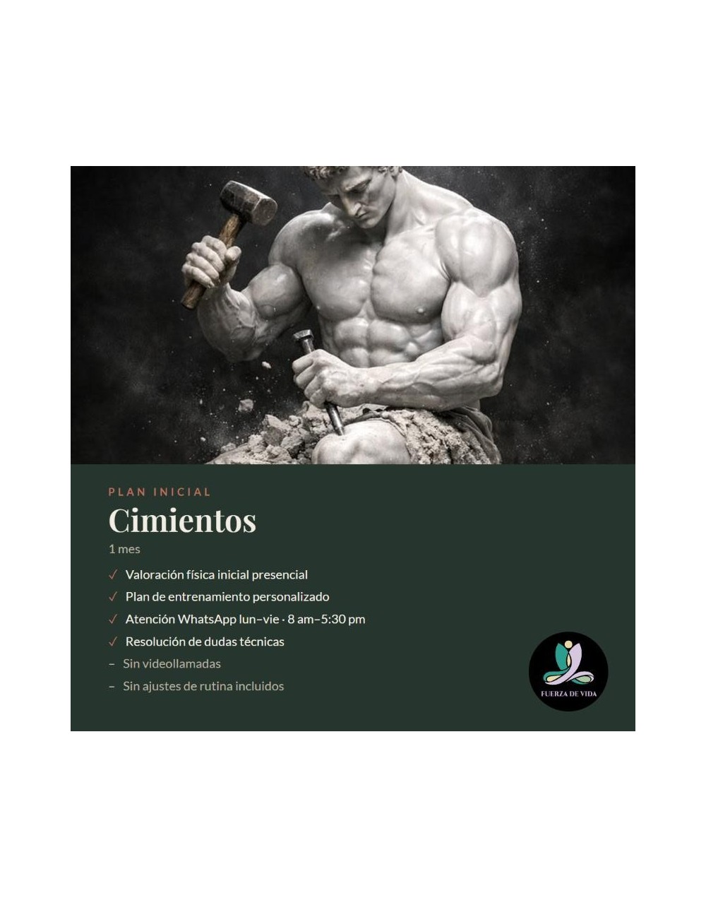 Plan Inicial - Cimientos 1 mes
