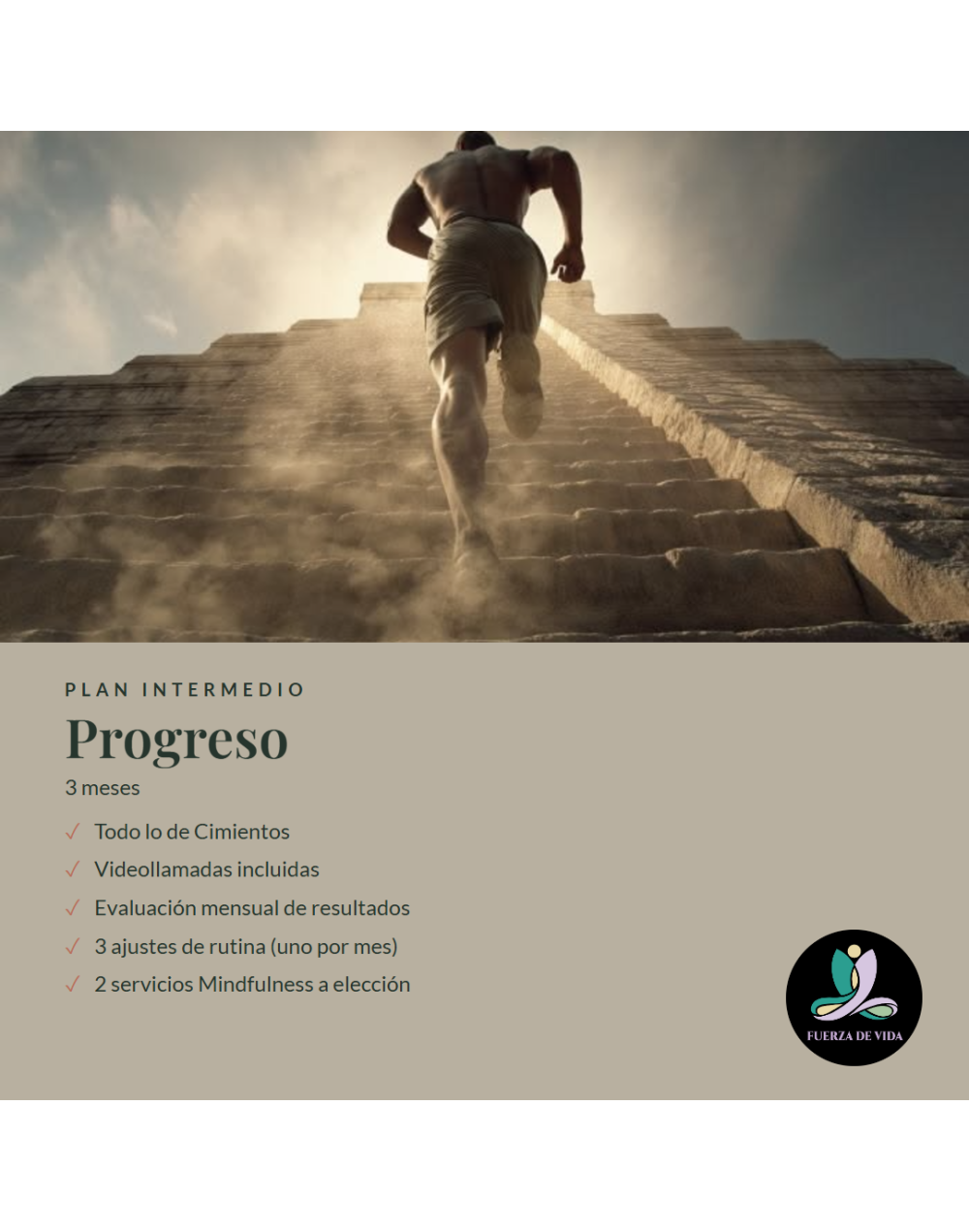 Plan intermedio - Progreso 3 meses