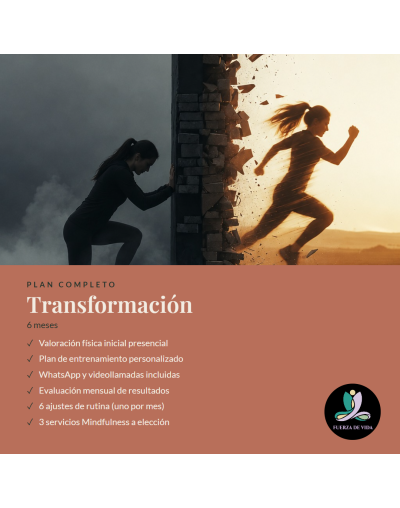 Plan completo - Transformación 6 meses