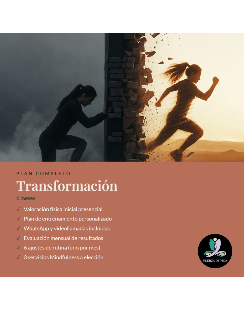 Plan completo - Transformación 6 meses