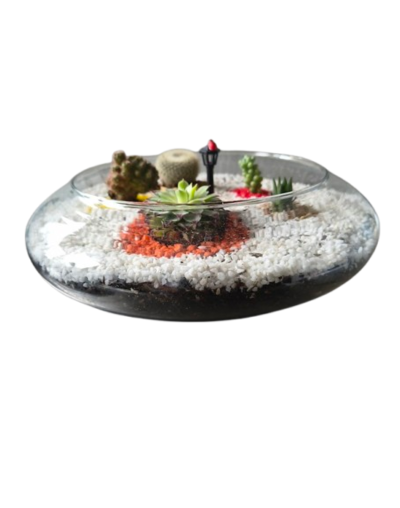 Colección Centros de Mesa