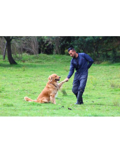 Colegio canino