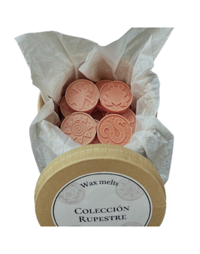 Aromatizantes (wax melts) 