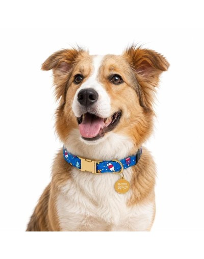 Collar de lujo para perros y gatos | ZAFIRA PET COMPANY