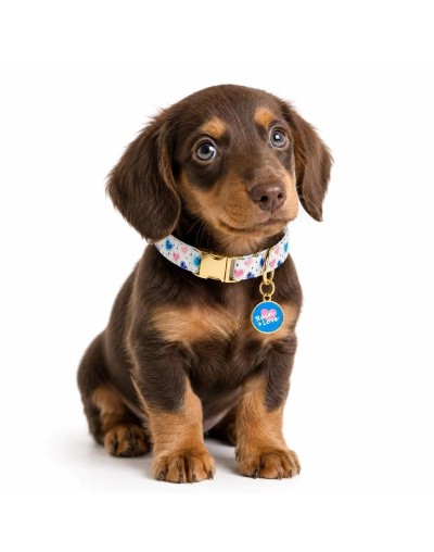Collar de lujo para perros y gatos | ZAFIRA PET COMPANY