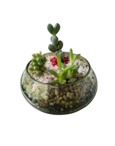Mini Bowl de Cristal
