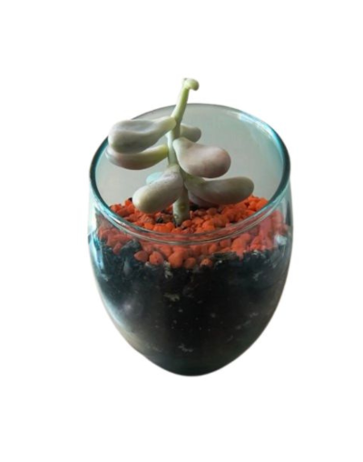 Vaso Cristal DIagonal