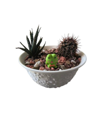 Terrario Bowl Cerámica Blanco